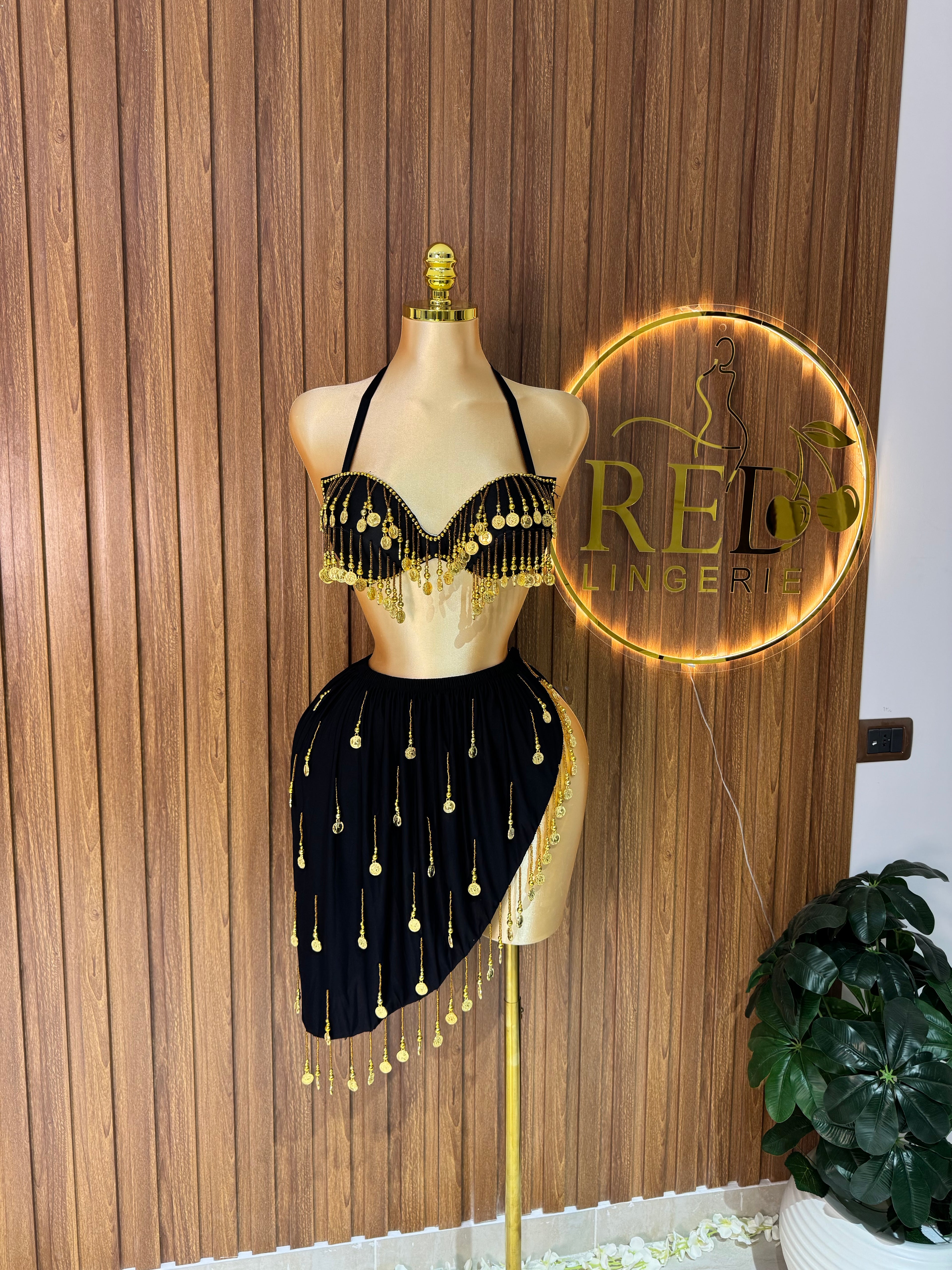 2-Piece Belly Dancer Set