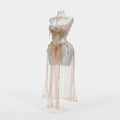Handmade belly dance costume (Peach)