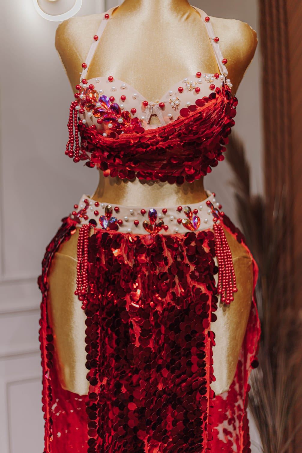 Handmade belly dance costume (RED)