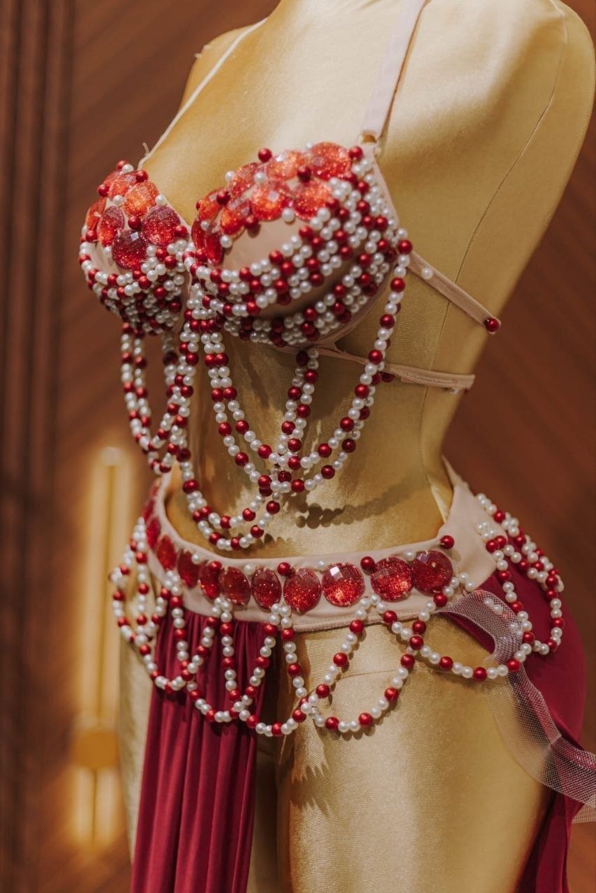 Handmade belly dance costume(RED)