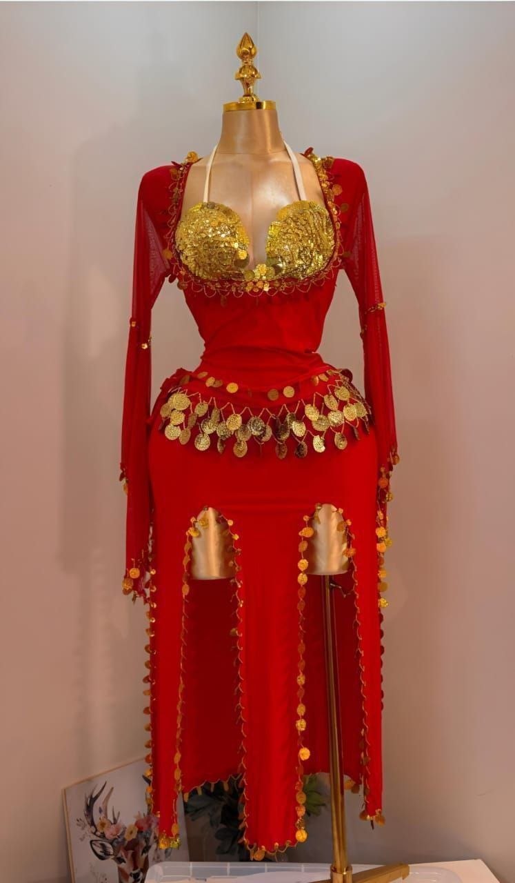 Handmade belly dance costume