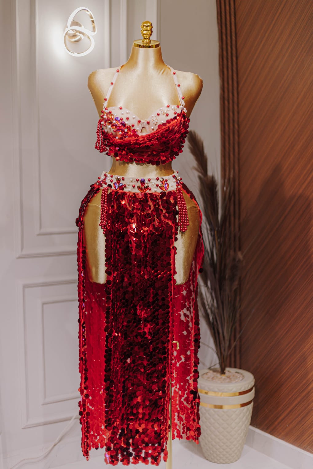 Handmade belly dance costume (RED)