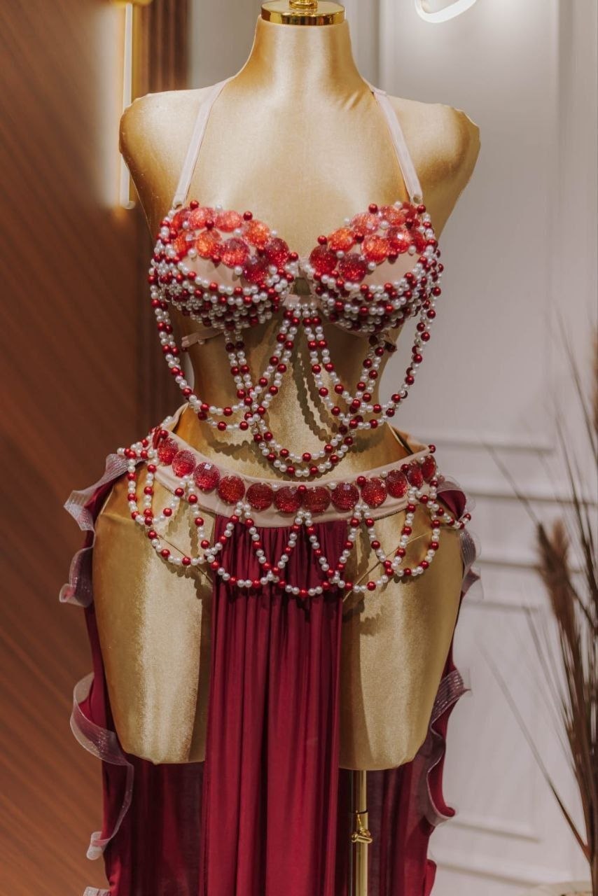 Handmade belly dance costume(RED)